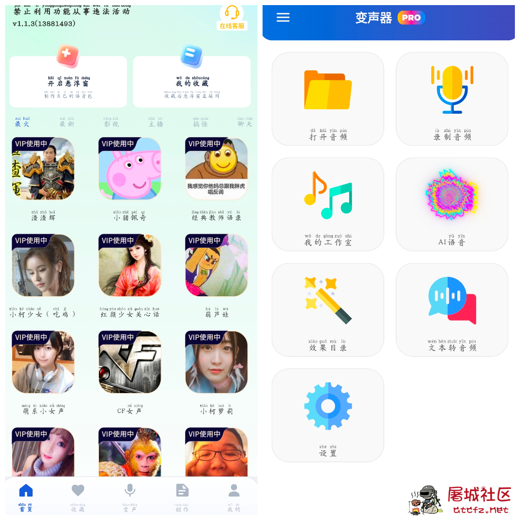 手游聊天变声器v1.1.3会员版 变声器v1.34.3会员版 TC辅助网www.tcsq1.com8981